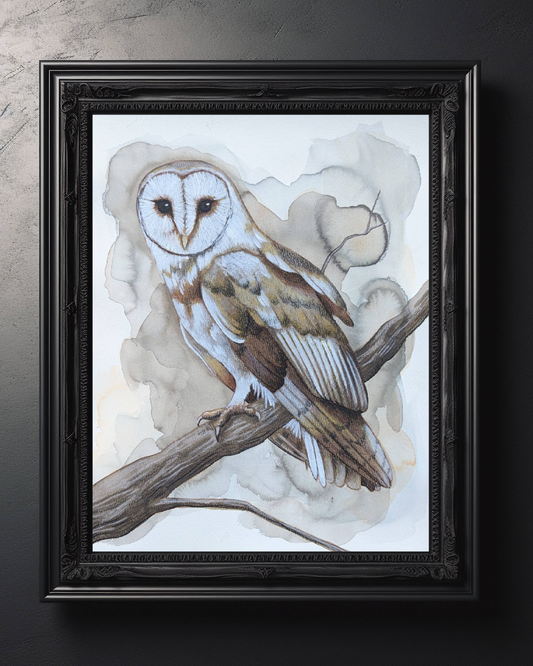 Perception Owl Art Print