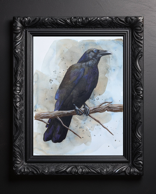 Playfulness Raven Art Print