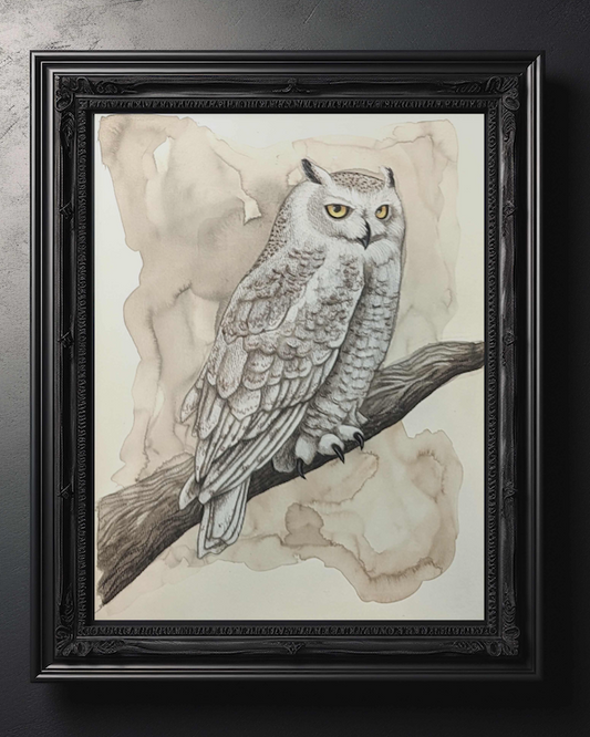 Wisdom Owl Art Print