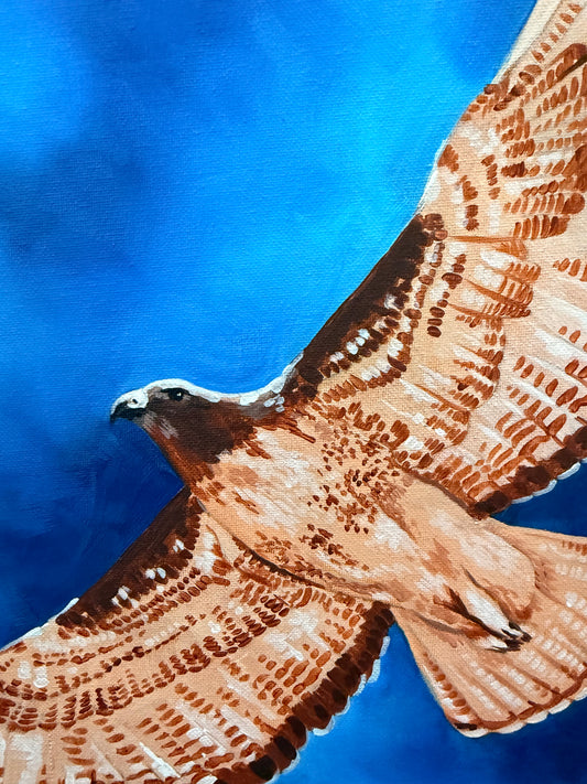 LIMITED EDITION! Spring Equinox Red Tailed Hawk