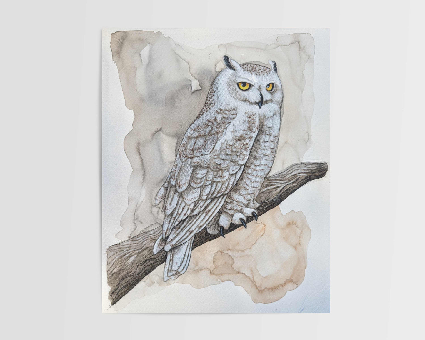 Wisdom Owl Art Print
