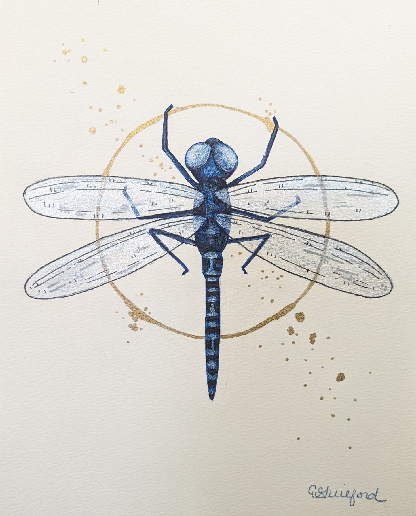 A framed art print of a dragonfly showcasing delicate wings and intricate details