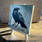 MINI Raven Original Painting Secret Shop