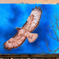 LIMITED EDITION! Spring Equinox Red Tailed Hawk