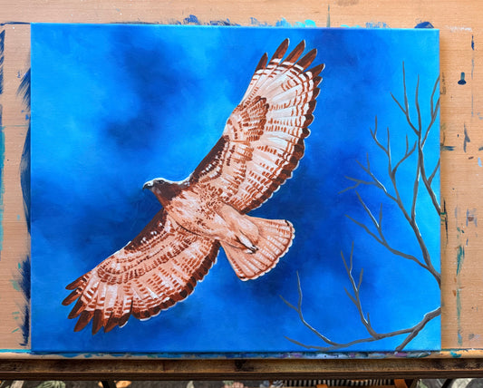 LIMITED EDITION! Spring Equinox Red Tailed Hawk