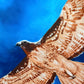 LIMITED EDITION! Spring Equinox Red Tailed Hawk