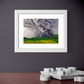 Summer Storm Art Print